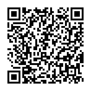 apple-app-qr