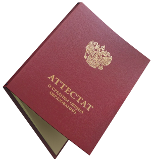 Онлайн-школа с аттестатом государственного образца