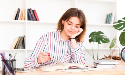 Социально-гуманитарный профильный класс Социально-гуманитарный профильный класс