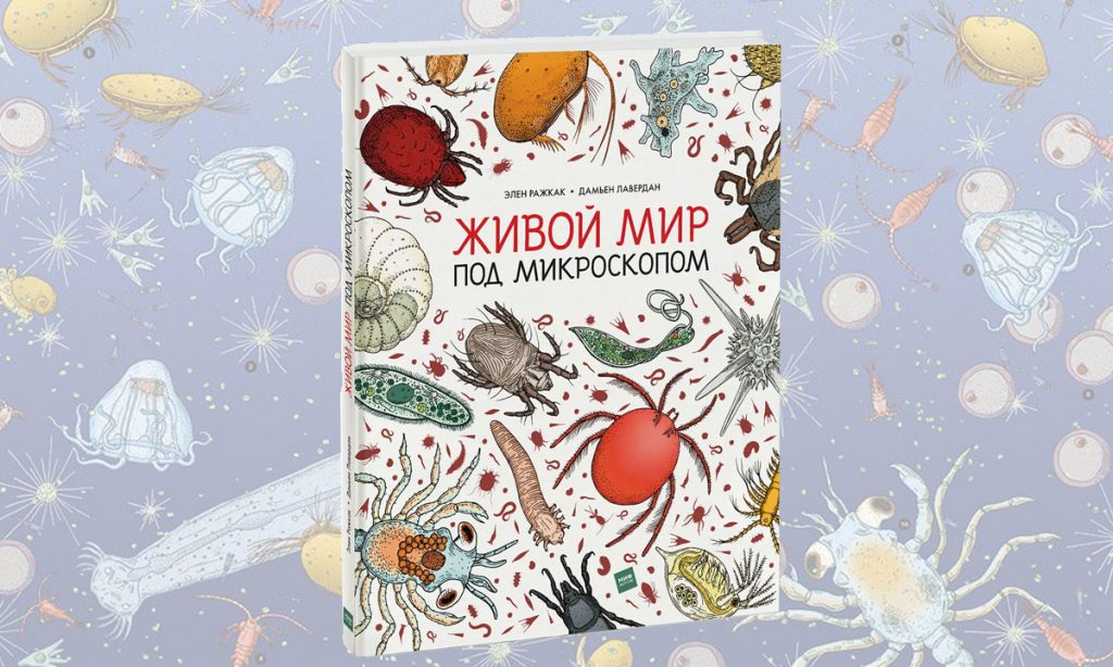 «Живой мир под микроскопом» - onlineschool-1