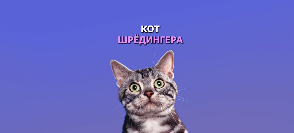 Кот Шрёдингера