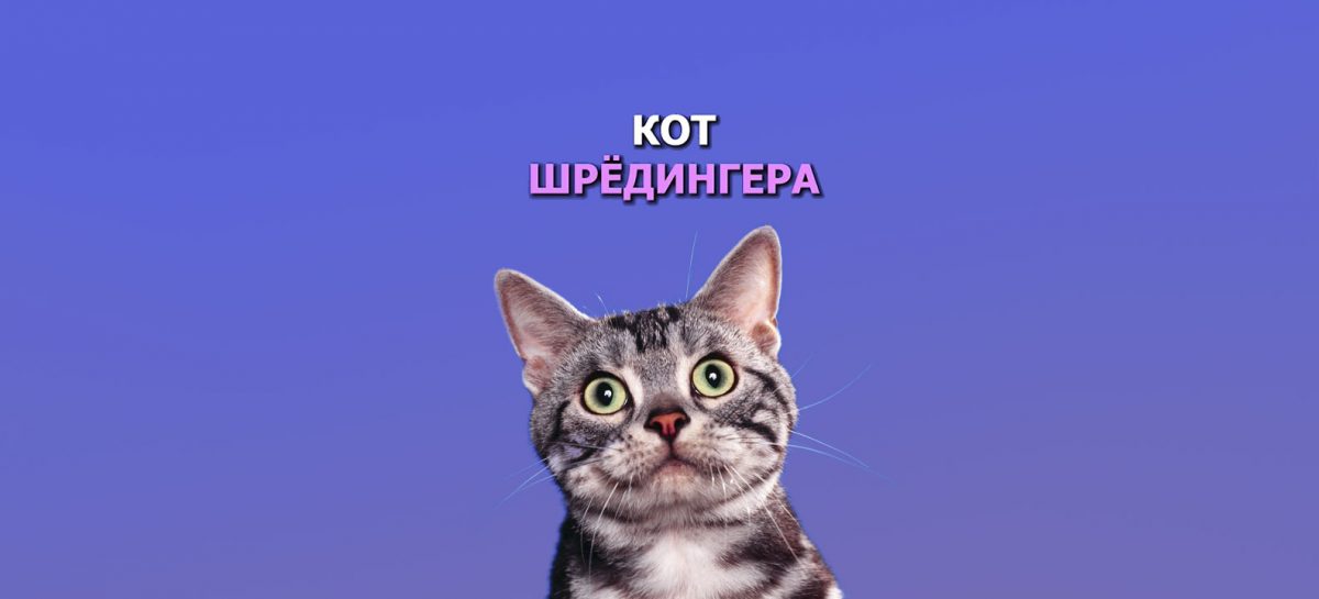 Кот Шрёдингера