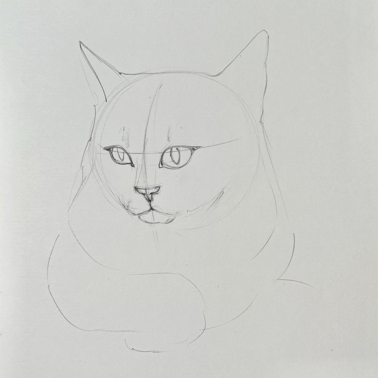 Кот нарисованный