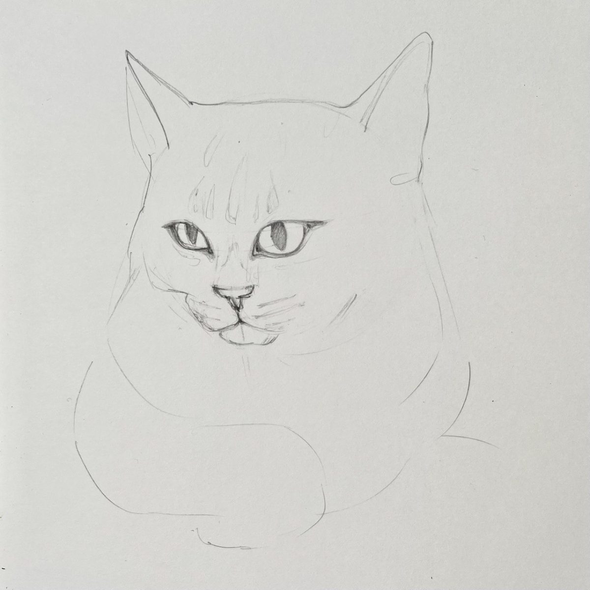 Кот нарисованный
