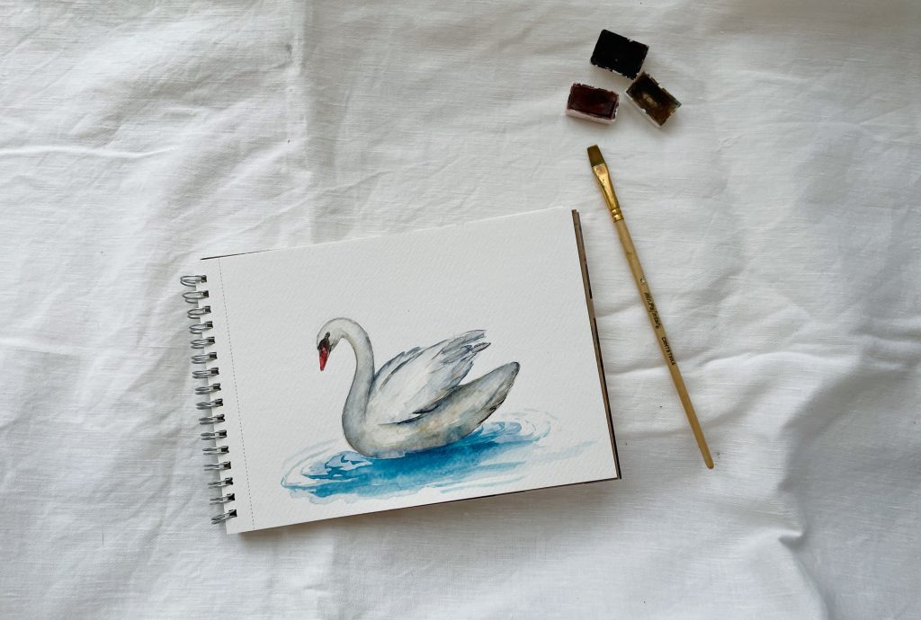Как нарисовать лебедя