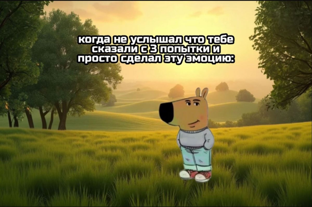 Обоюдно, хомяк и бобр: как мемы объясняют чувства подростков