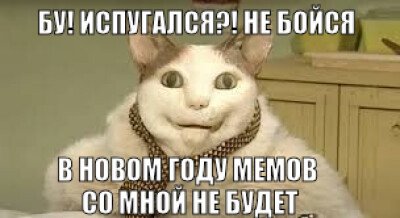Обоюдно, хомяк и бобр: как мемы объясняют чувства подростков