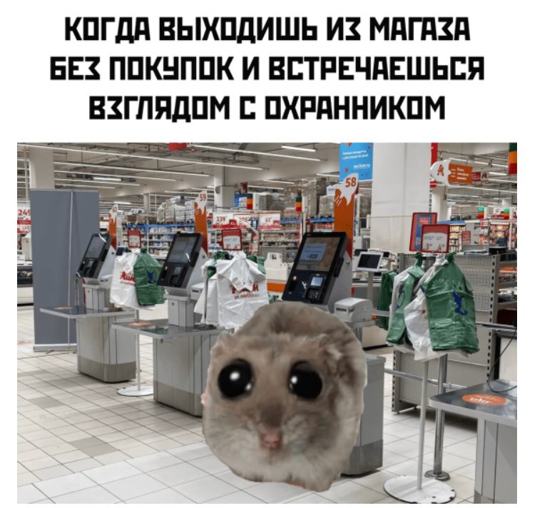 Обоюдно, хомяк и бобр: как мемы объясняют чувства подростков