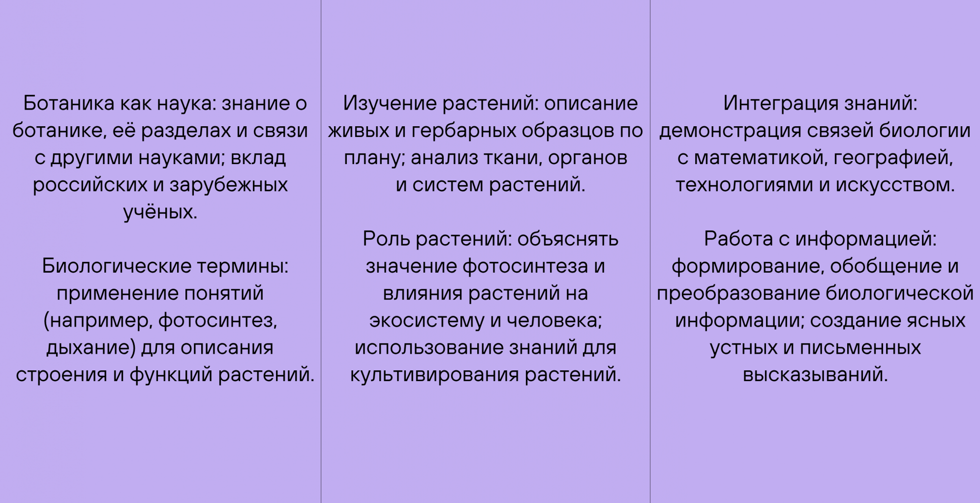 Учебная программа 6 класса Учебная программа 6 класса